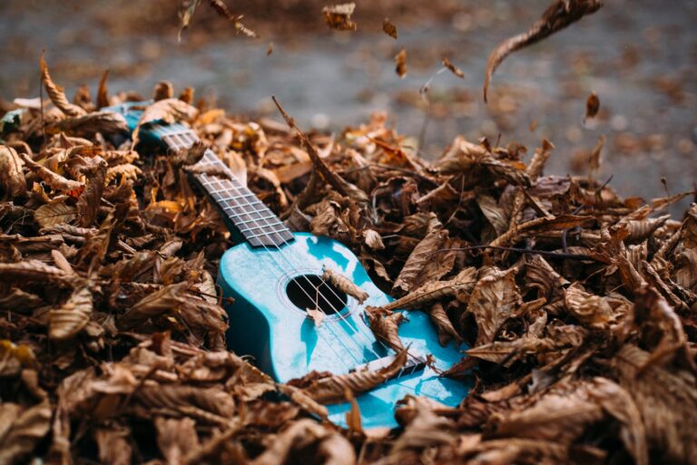 Read more about the article L(v)eaves d’automne – Lviv, Ukraine