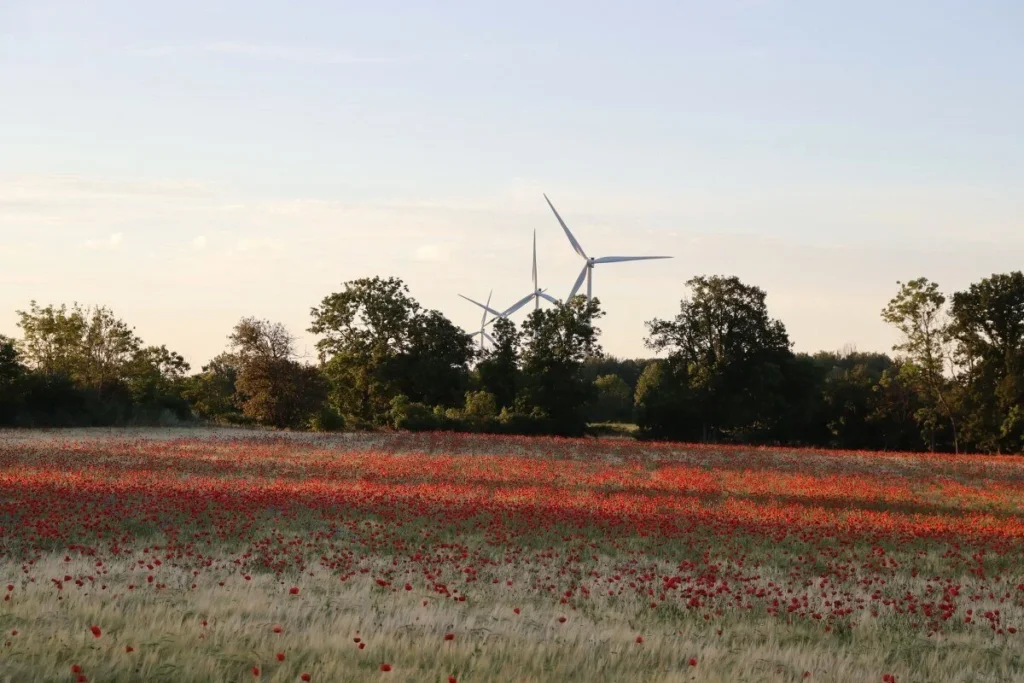 stora alvaret öland