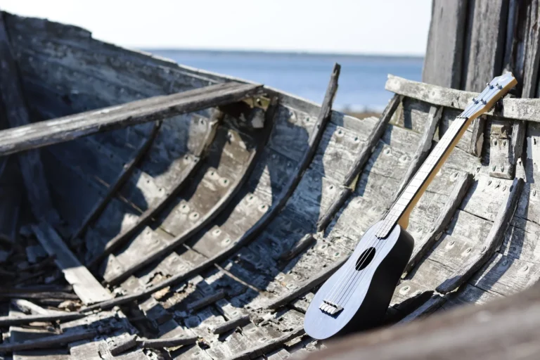 Read more about the article Fårö – L’île de Bergman