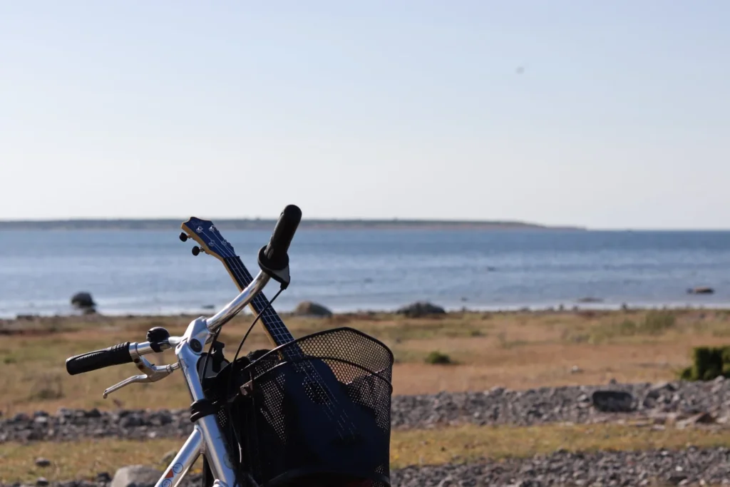 Fårö - L'île de Bergman
