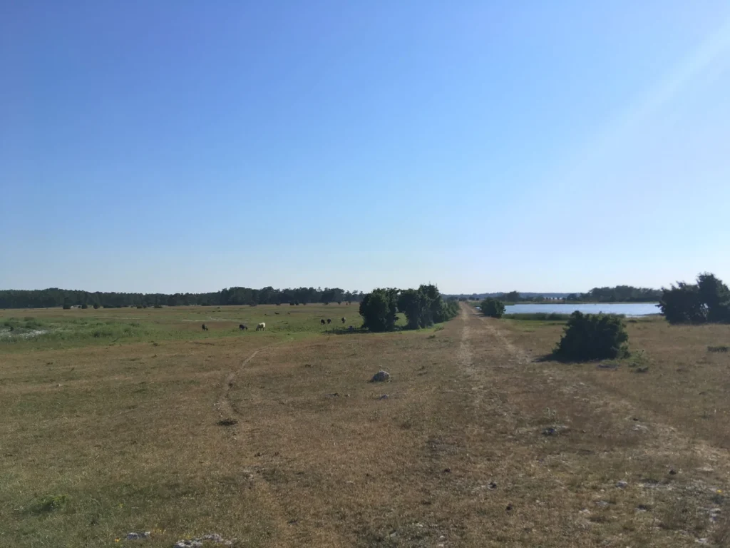 Fårö - L'île de Bergman